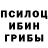 Галлюциногенные грибы Psilocybine cubensis Meha Amon