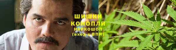 2c-b Кукмор
