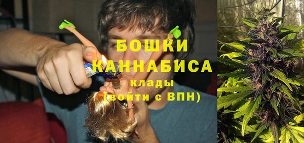 2c-b Кукмор