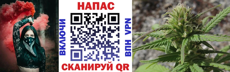 Купить  Шуя  Канабис конопля 